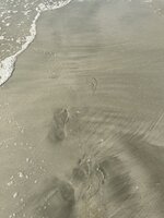 IMG_7863.jpeg IMG_7863.jpeg