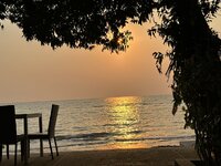 IMG_7895.jpeg IMG_7895.jpeg