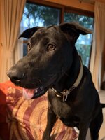 IMG_8812.jpeg