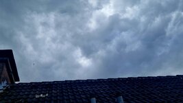 20260331_150456.jpg