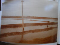 DSCN8460.JPG