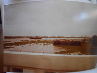 DSCN8459.JPG
