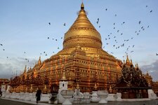 IMG_0306.jpeg IMG_0306.jpeg