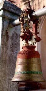 IMG_0296.jpeg IMG_0296.jpeg