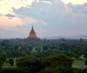 IMG_0298.jpeg IMG_0298.jpeg