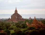 IMG_0315.jpeg IMG_0315.jpeg