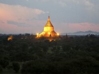 IMG_0321.jpeg IMG_0321.jpeg