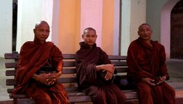 IMG_0304.jpeg IMG_0304.jpeg