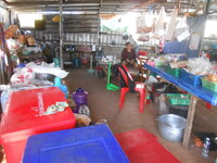DSCN6570.JPG DSCN6570.JPG