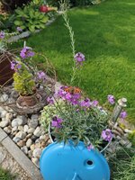IMG_20250601_163354.jpg