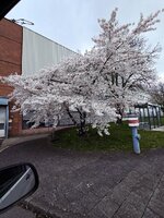 20260331_113416.jpg