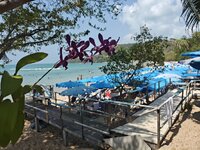 IMG_20260319_140741.jpg