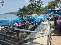 IMG_20260319_140716.jpg