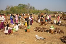 brennholz.jpg brennholz.jpg