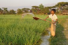 feldarbeit.jpg feldarbeit.jpg