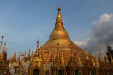 IMG_0323.jpeg IMG_0323.jpeg