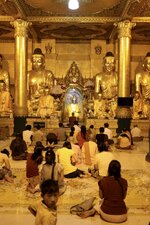 IMG_0295.jpeg IMG_0295.jpeg