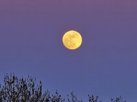 20260401_200235.jpg