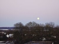 20260401_200154.jpg