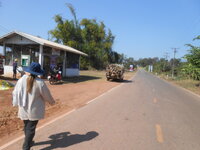 DSCN6578.JPG DSCN6578.JPG