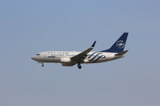 Duitsland-Frankfurt ''Flughafen-Tarom Boeing 737'' (2).JPG
