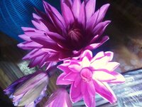 IMG_20220227_174625.jpg
