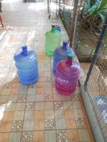 DSCN6597~2.JPG DSCN6597~2.JPG