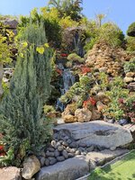 IMG_20260128_113459.jpg