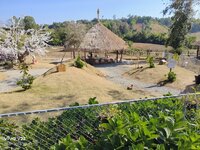 IMG_20260128_100318.jpg