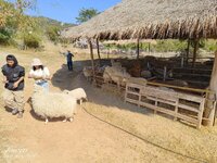 IMG_20260128_101254.jpg