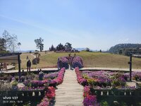IMG_20260128_101915.jpg