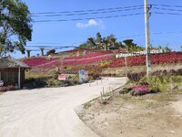 IMG_20260128_110038.jpg