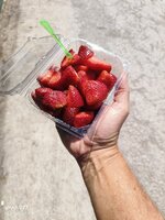 IMG_20260128_123709.jpg