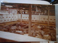 DSCN8476.JPG