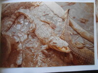 DSCN8482.JPG