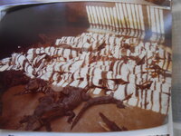 DSCN8477.JPG