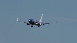 Duitsland-Frankfurt ''Flughafen-TuiFly Boeing 737-800'' (1).jpg