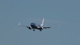 Duitsland-Frankfurt ''Flughafen-TuiFly Boeing 737-800'' (2).jpg