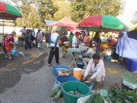 DSCN6618.JPG DSCN6618.JPG