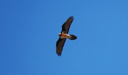 DSC03194.JPG