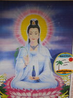 DSCN8553.JPG DSCN8553.JPG