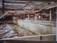 DSCN8486.JPG