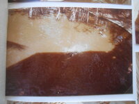 DSCN8481.JPG