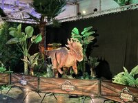 IMG_20260405_132955.jpg