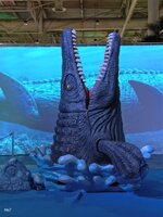 IMG_20260405_135256.jpg