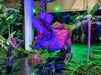 IMG_20260405_134835.jpg
