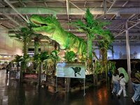IMG_20260405_135623.jpg