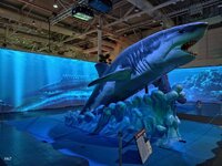 IMG_20260405_135134.jpg