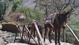 20260312_113358833.JPG 20260312_113358833.JPG