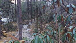 20260319_082006869.JPG 20260319_082006869.JPG